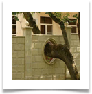 T223940_483748164982271_1768597592_n