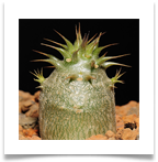 ad2148351171_7be4871a59_z[1]