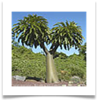 ad252557453253532475