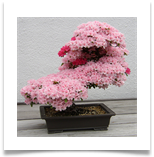 b508065869_63bedbeb1d